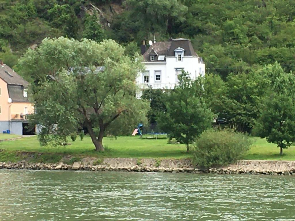 Paradiesisch Wohnen - Loreley Sankt Goarshausen Exterior foto